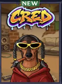 Cred w katalogu Lola Jack casino